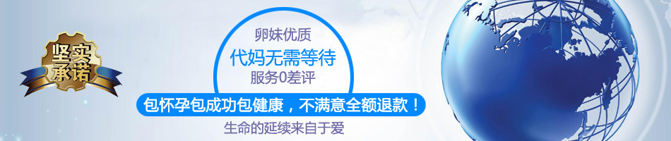 郑重承诺