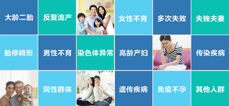 广州助孕人群