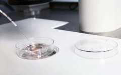 染色体异常对于广州助孕来说到底有多严重