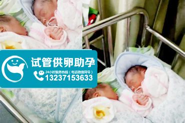 广州助孕帮助赵先生一家成功圆梦双胞胎男宝宝