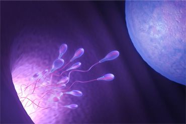 第三方辅助生殖如何广州助孕地中海贫血