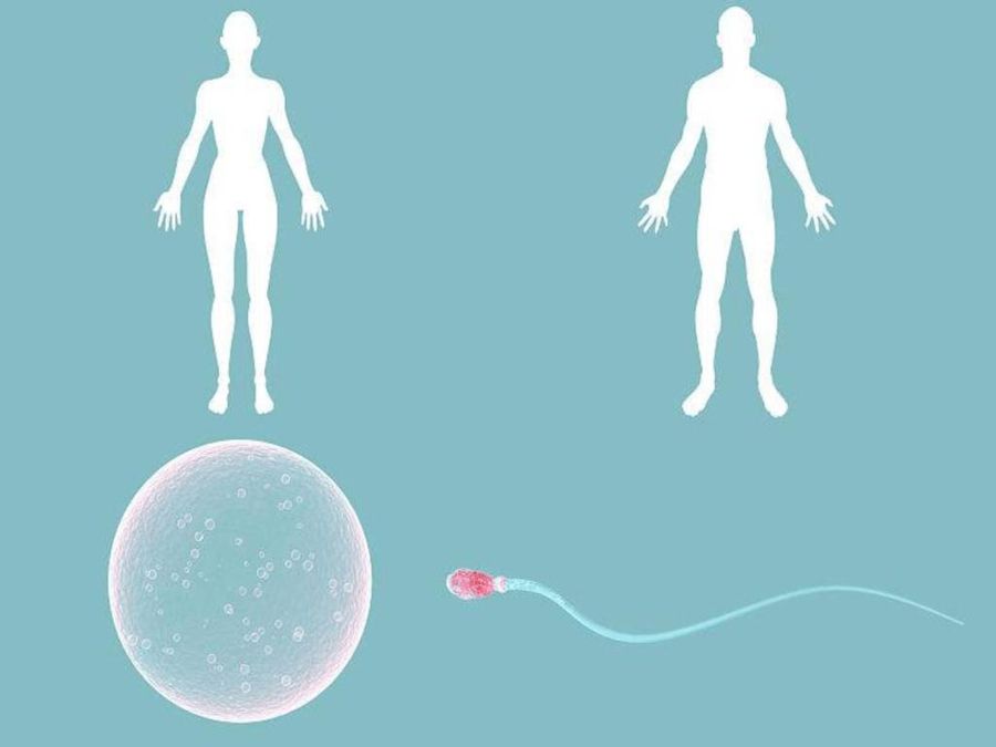 男性少精或弱精可以做试管婴儿吗?