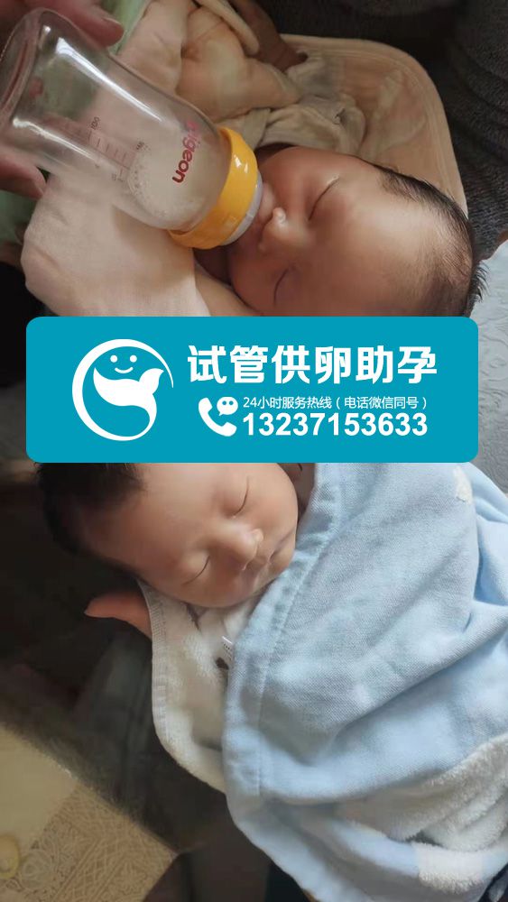 祝贺陈氏夫妇生了一对成功的龙凤胎!真是个喜事