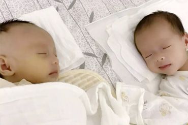 试管备孕首重养卵