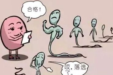 解决卵巢早衰都有什么方法