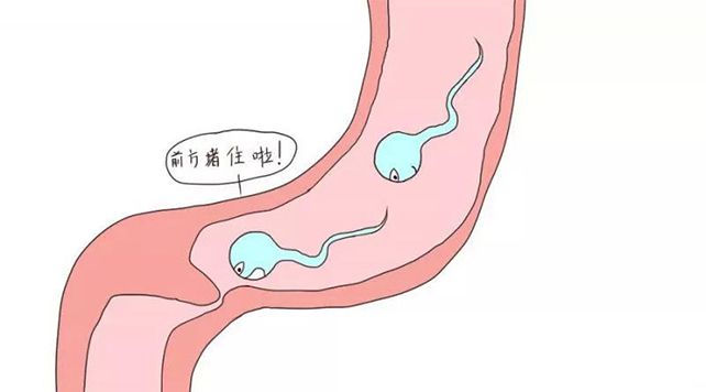 试管婴儿可以解决哪些生育障碍问题?