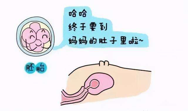 试管胚胎移植是怎么移植的?