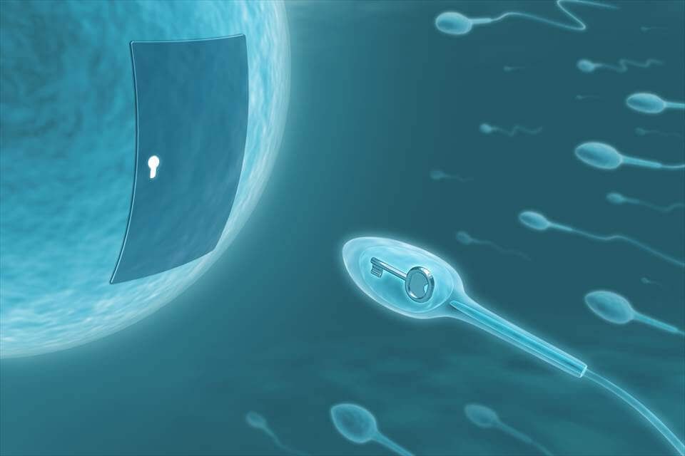 做试管婴儿过程中,男方取精困难怎么办?