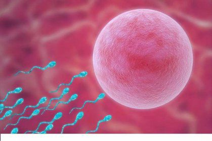 试管前，怎样提高男人精子质量？