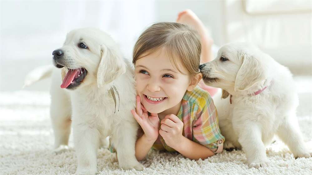 子宫内膜增厚意味着什么