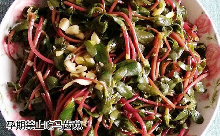 广州代妈在广州助孕期间禁止吃这几种蔬菜!
