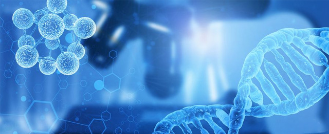 男性如何保障精子质量