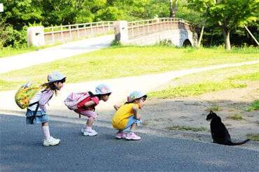 过胖、过瘦或导致不孕