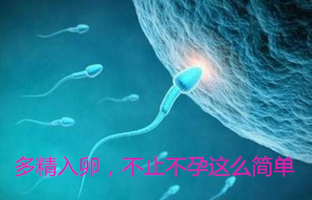 多精入卵,不止不孕这么简单