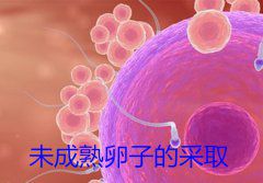 未成熟卵子的采取