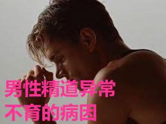 男性精道异常不育的病因
