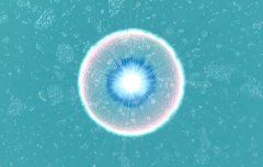 德国科学家用表观遗传学保持卵子新鲜和健康
