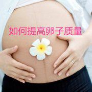 如何提高卵子质量？