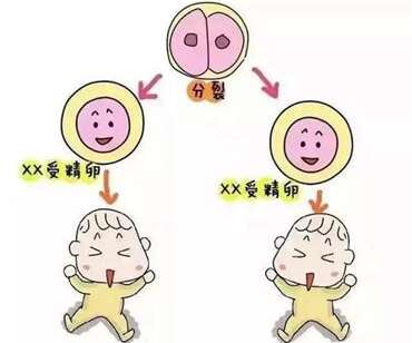 卵巢早衰可以治愈吗？