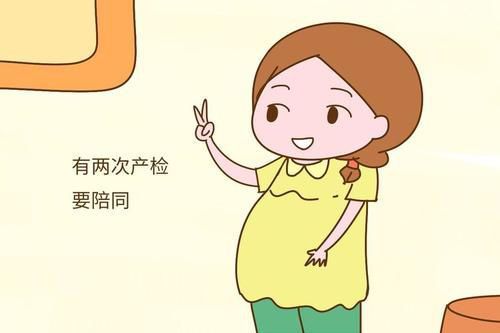 广州助孕也要有计划,按步骤走才能顺利好孕优生