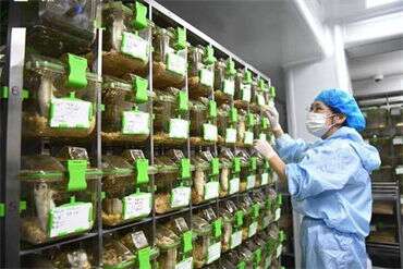 广州助孕试管婴儿解决哪些生育障碍问题
