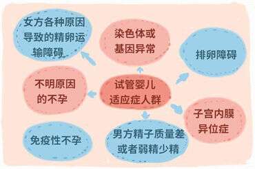 如何判断男女双方生育能力