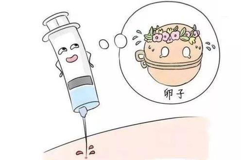 不孕有哪些常见的原因