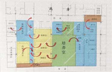 排卵正常也要促排卵吗？