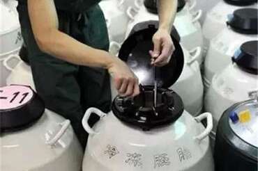 试管婴儿如何取得更多卵子