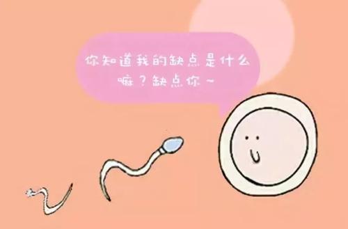 囊胚培养技术适合以下人群