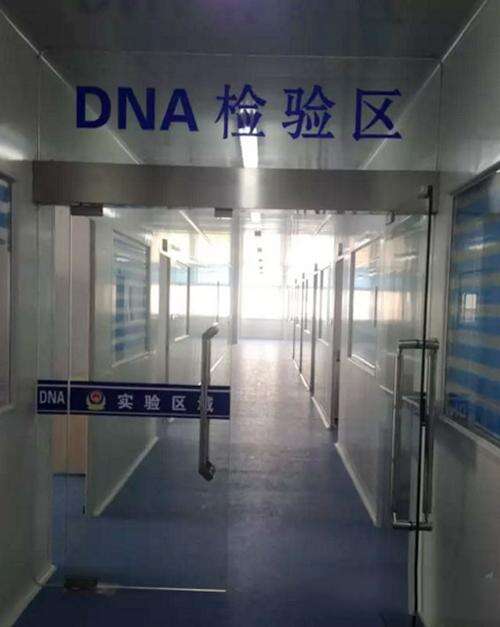 优质胚胎着床率并非百分百