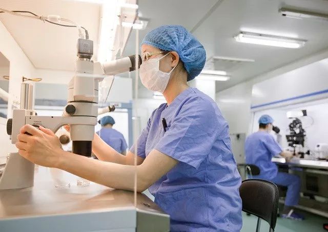 广州试管婴儿助孕中,胚胎在实验室的发育全过程详解