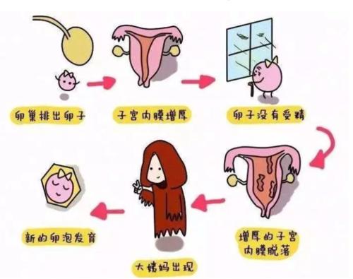 引起附件炎的因素有哪些
