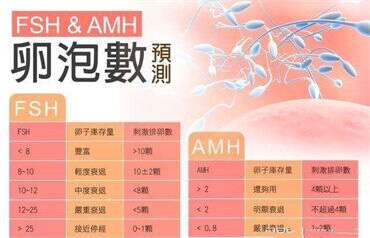 解决这些异常，提高试管成功率