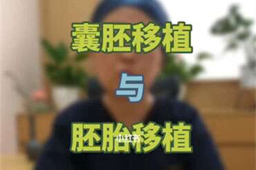 广州代妈秋季备孕有哪些特殊的注意事项呢？