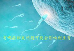 有哪些卵巢问题可能会影响到生育