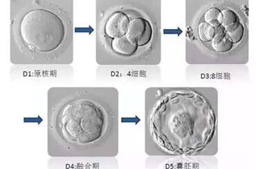 出现孕酮低，是不是证明有问题呢？