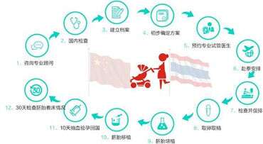 移植之后要注意什么？