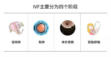 胚胎质量可以为什么会失败？