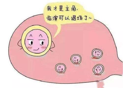 辅助生殖广州助孕全部流程