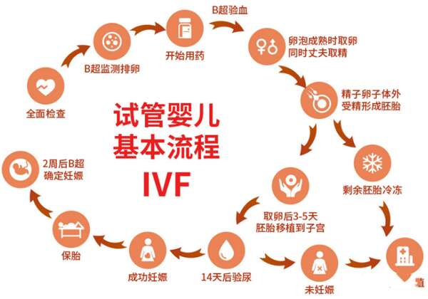 囊胚移植有什么优点