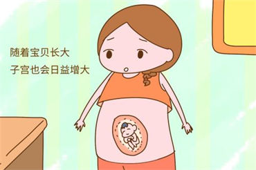 几种冷冻胚胎的适应症