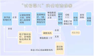 鲜胚、冻胚、囊胚傻傻分不清？