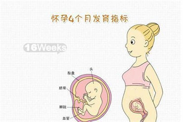 大龄代妈的生育难点在哪里