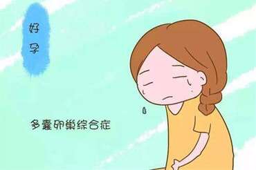 如何养好卵子提高成功率