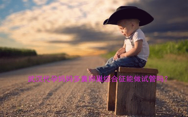多囊卵巢综合征能做试管吗？