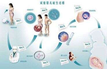科学促排决定了取卵时广州助孕代妈取卵数量