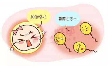 如何多方面预防卵巢早衰
