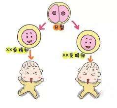 怎样才能拥有健康活跃的精子
