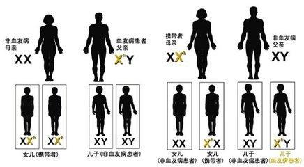 代妈不孕要注意这些信号